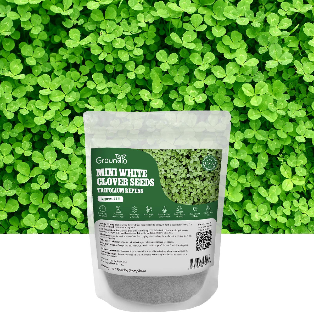 Groundio Mini White Clover Seeds 1Lb 4-6 Inch Tall Perennial Dwarf Dutch Clover
