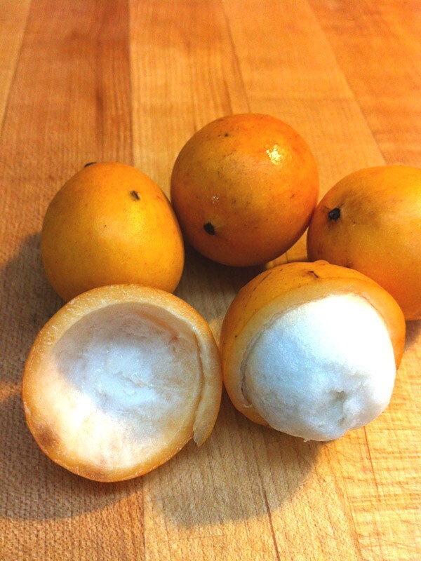 Lemon Drop Mangosteen GarciniaIntermedia Seeds 5 Non GMO OrganicPuerto Rico