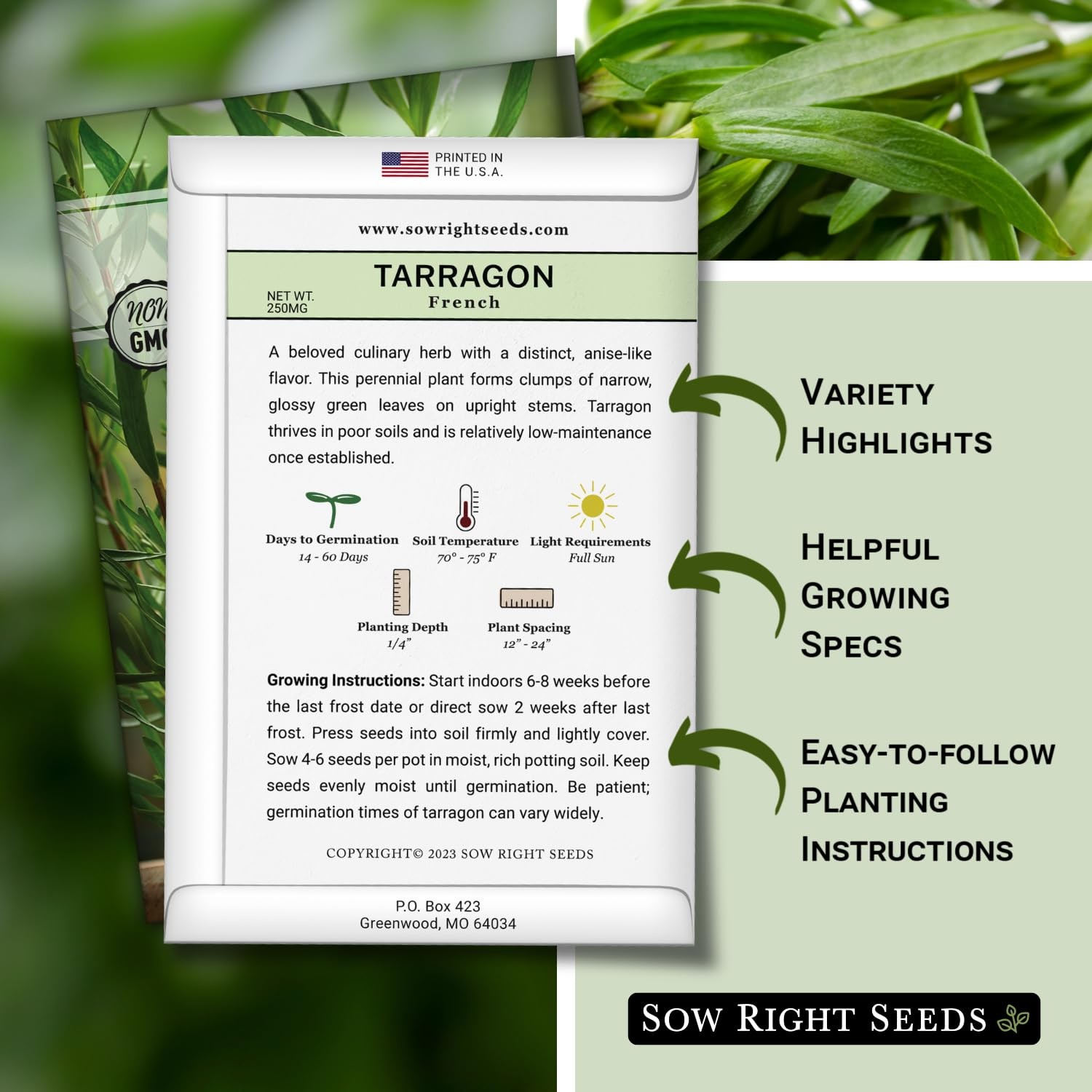 Sow Right Seeds – French Tarragon for Planting – Non-GMO Heirloom green