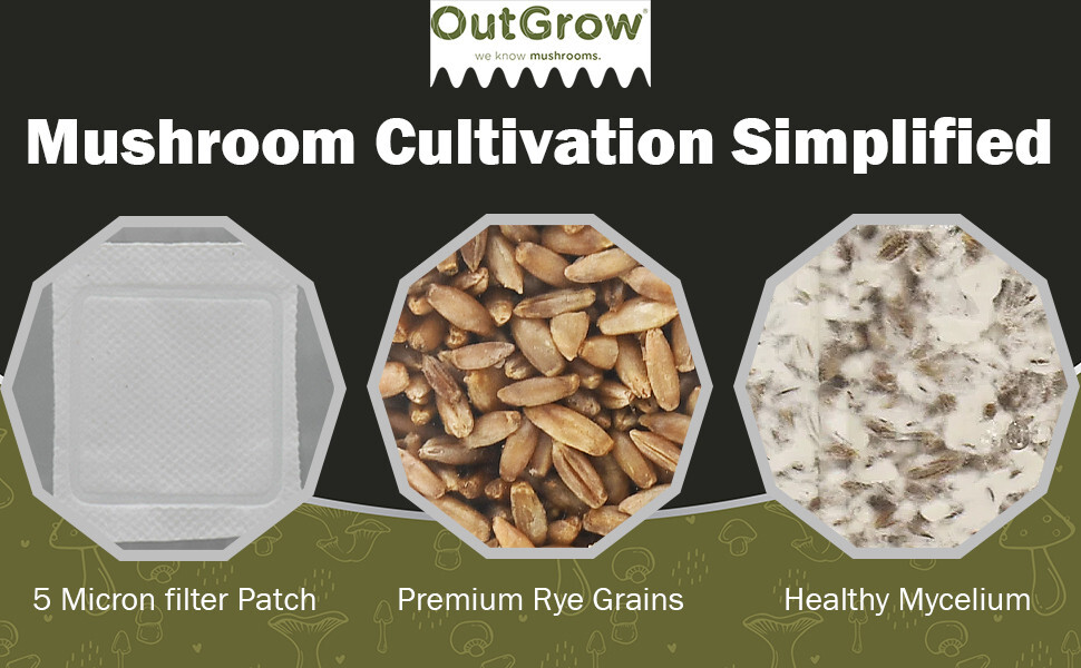 Sterilized Rye Berry Mushroom Substrate (6 pack)