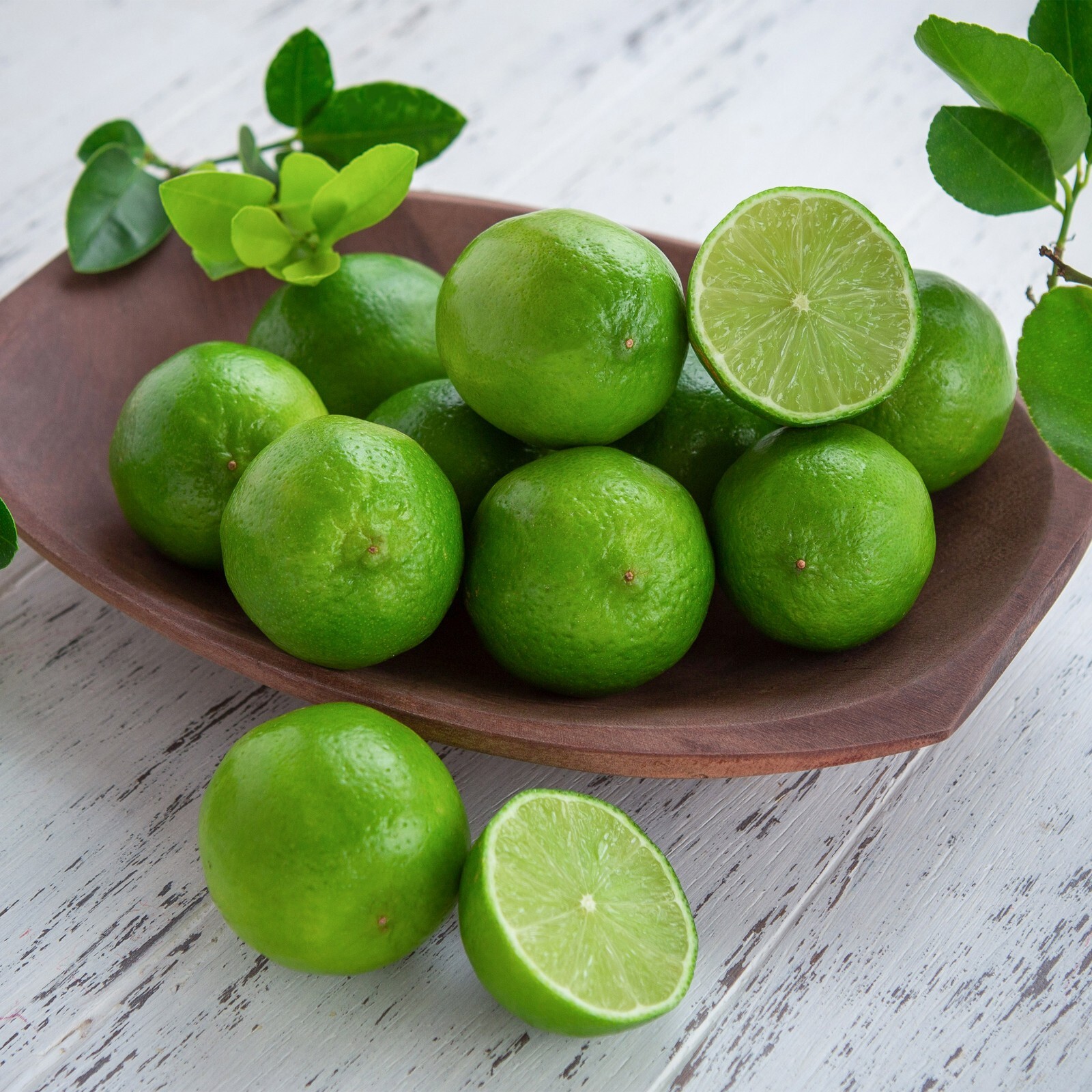 Garden State Bulb Persian Lime Tree, Citrus Live Plant (1 Gallon Potted)