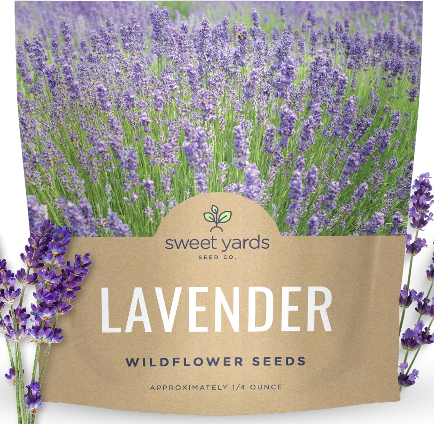 Lavender Seeds – 7,000 Flower Seeds for Planting – 1/4 Ounce Packet