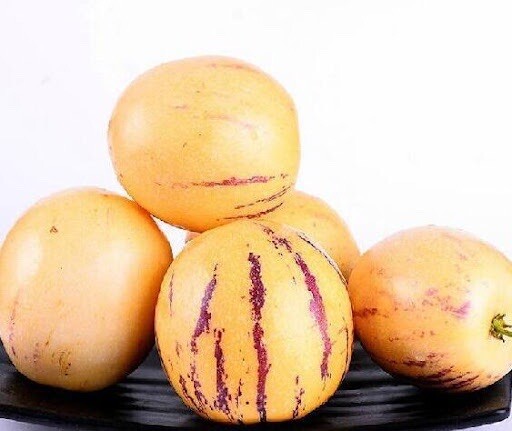 Pepino Melon Plant 10” With Pot Golden Sweet Ginseng Fruit Plant