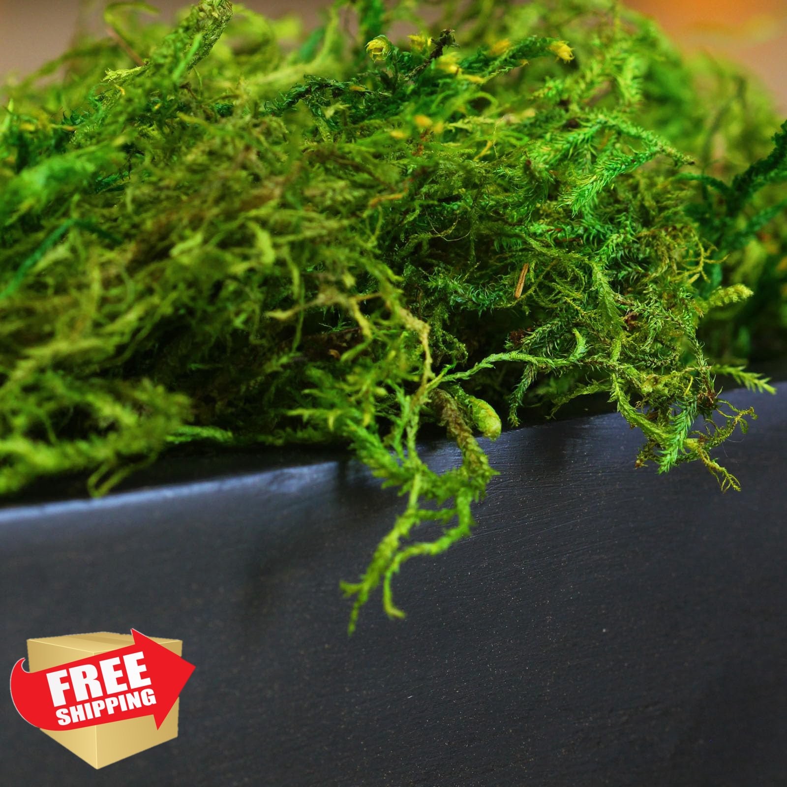 SuperMoss Forest Moss Preserved Green 120 cu in