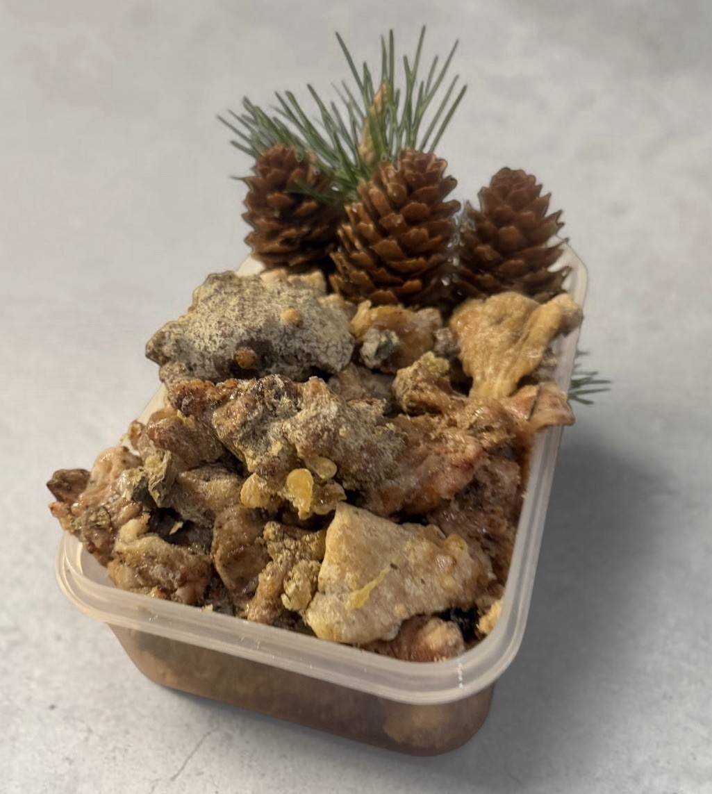 Harvested Pine Resin- Raw, Organic, Unfiltered Tree Sap- Salves, Incense… 14