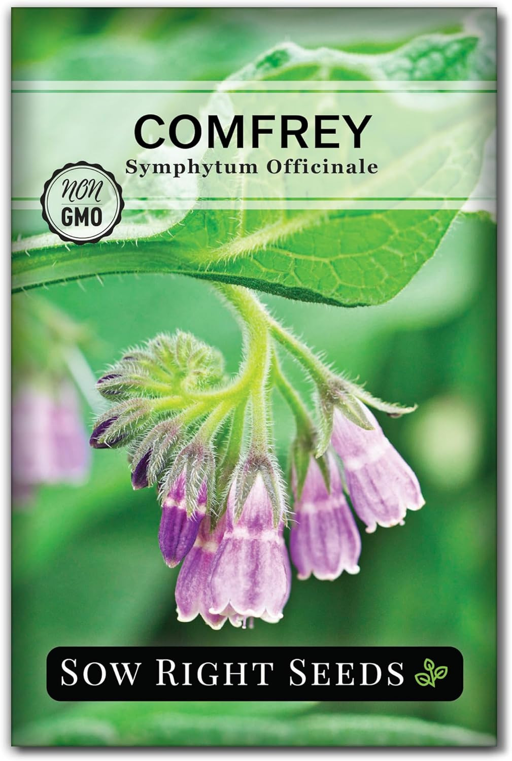 – Comfrey Seeds for Planting – Non-Gmo Heirloom – High-Yield Comfrey for Garden,