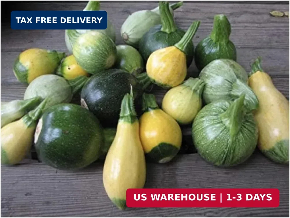 This is a Mix!!! 50+ Zucchini and Squash Mix Seeds 12 Varieties Non-GMO Deliciou