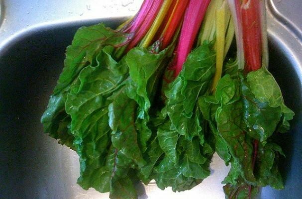 100+ RAINBOW SWISS CHARD SEEDS, HEIRLOOM/, Always Fresh For Your Garden