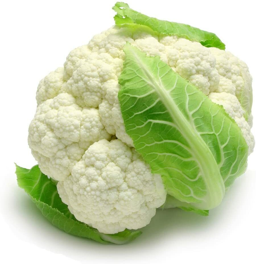 250 SELF BLANCHING CAULIFLOWER SEEDS FRESH HARVEST FOR 2024 GARDENS