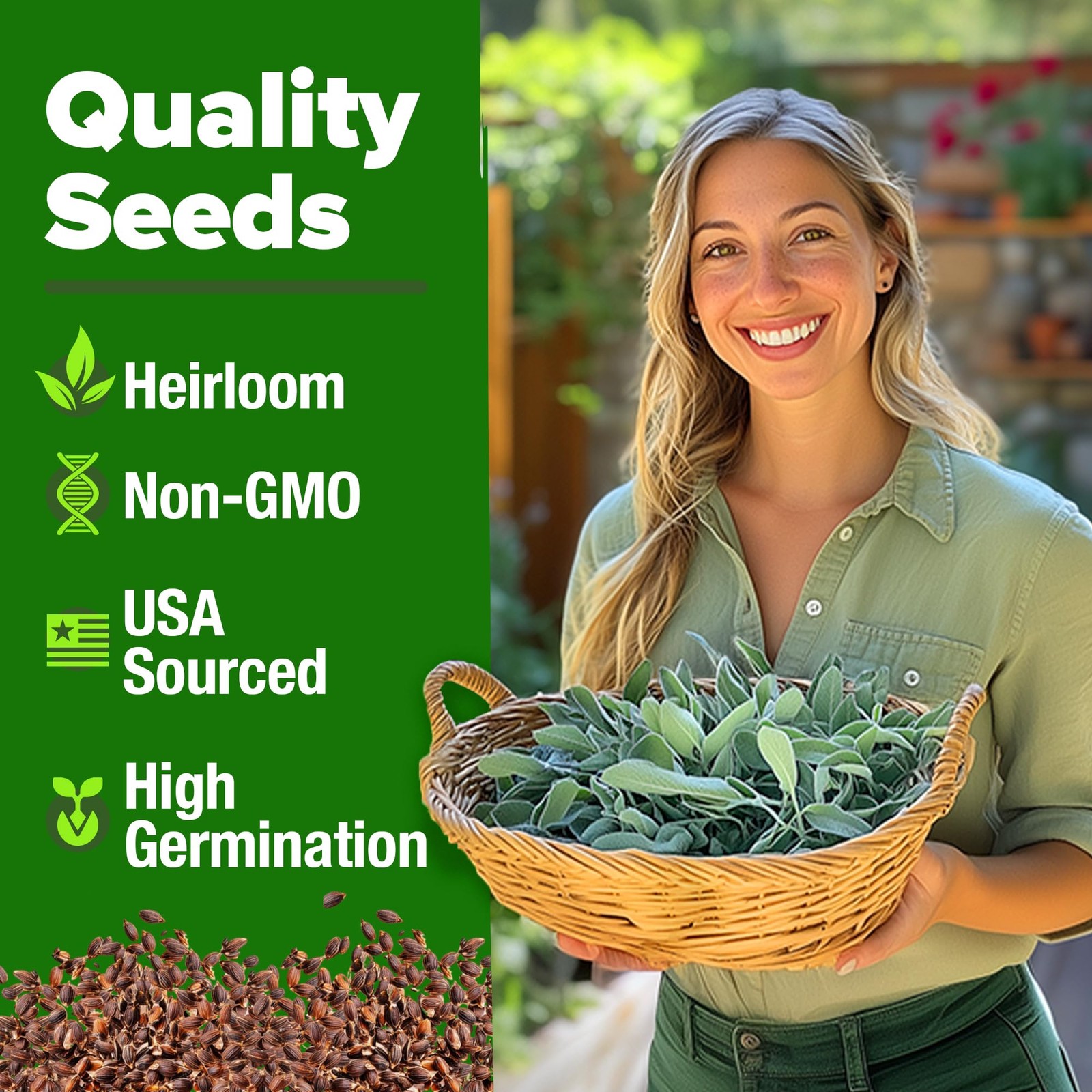HOME GROWN Non GMO White Sage Seeds 323 Pack Heirloom – 1-Pack, Green