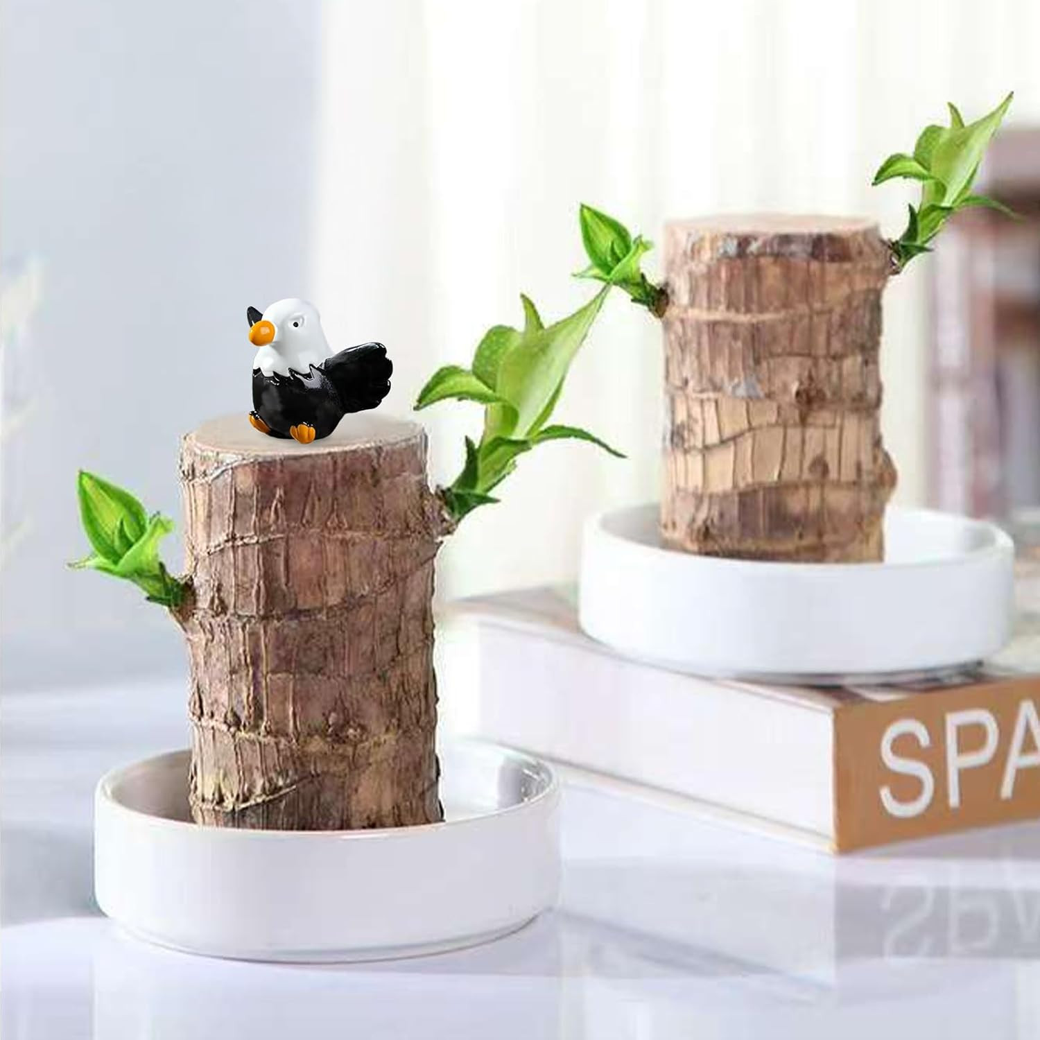 Brazilian Lucky Wood Plant,Fortune Brazil Wood Potted Plant with Eagle Figurine,