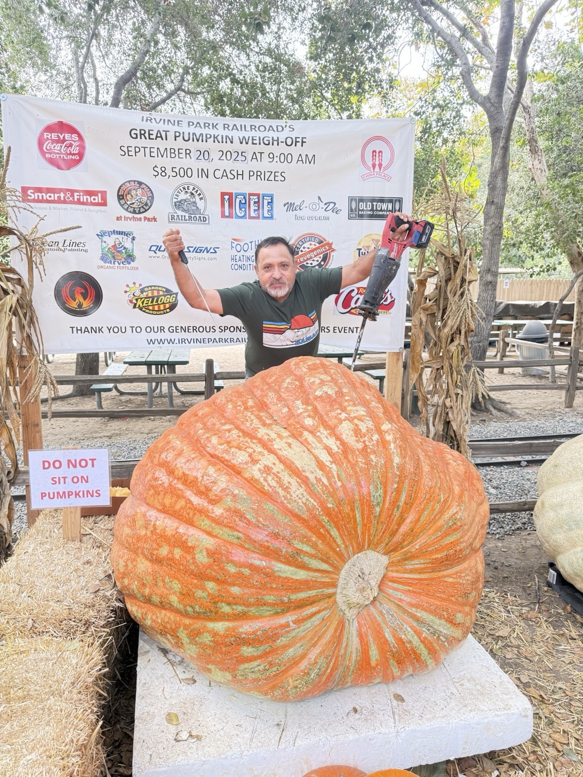 Dill’s Atlantic Giant Pumpkin Seeds 2 seeds for $25.00 )Howard Dill Winner.