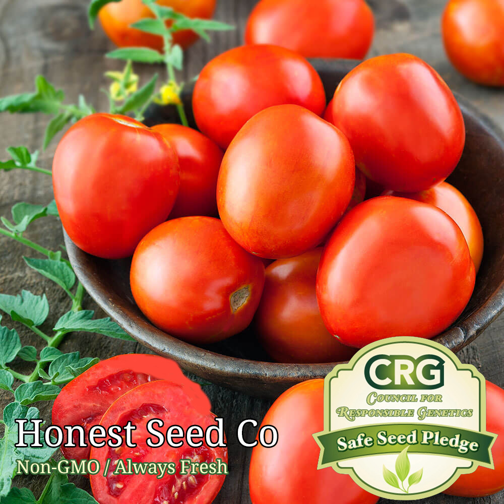 100+ Roma Tomato Seeds | Non-GMO Heirloom | Fresh Garden Seeds