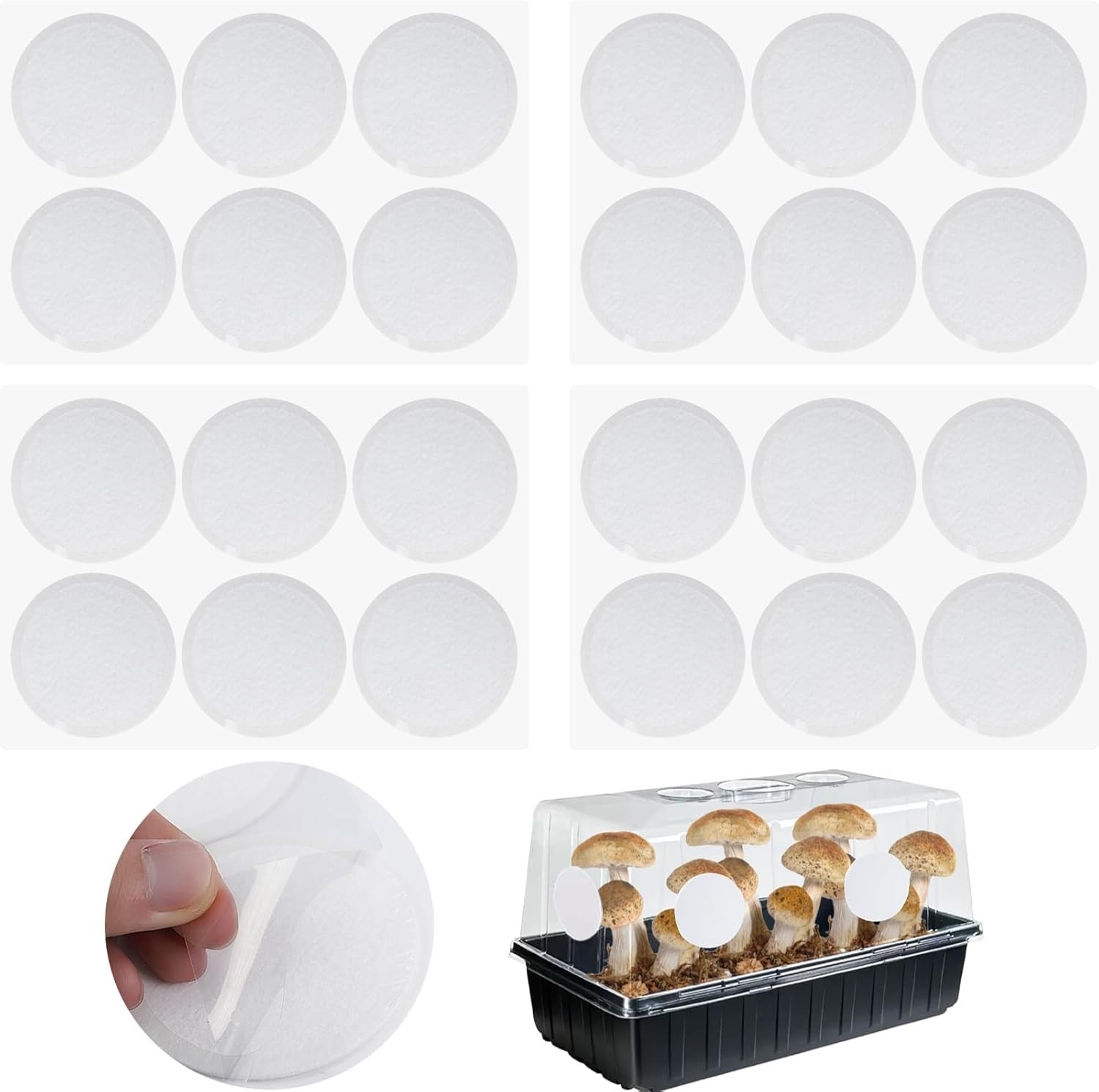 High-Efficiency 2.5in Mushroom Filter Disks – 12PCS for Optimal Gas Exchange
