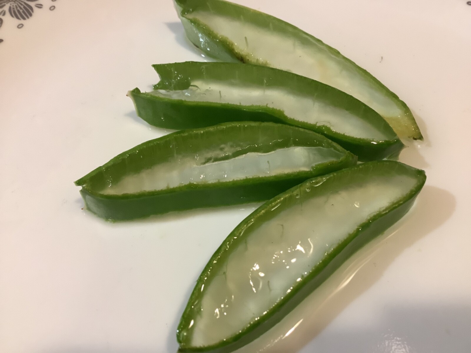 Aloe Vera Leaf 4 Ounces Cutting Medicinal