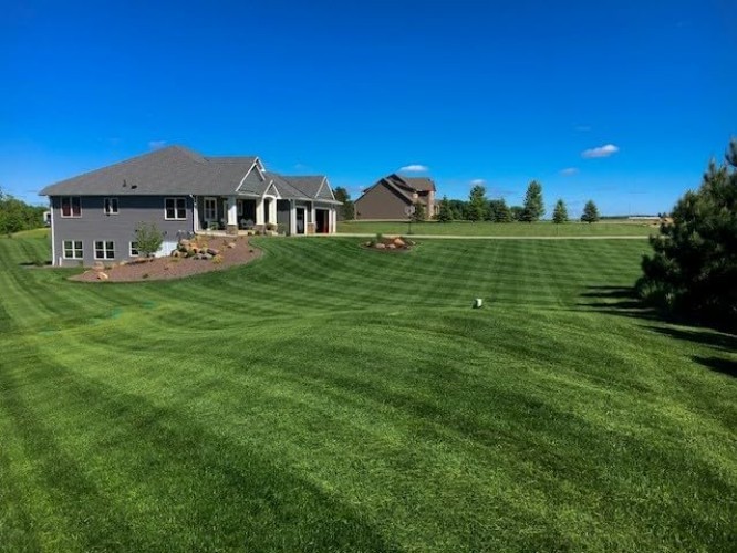 Traffic Tolerant Grass Seed Mix for Quick Establishment and Versatile Use