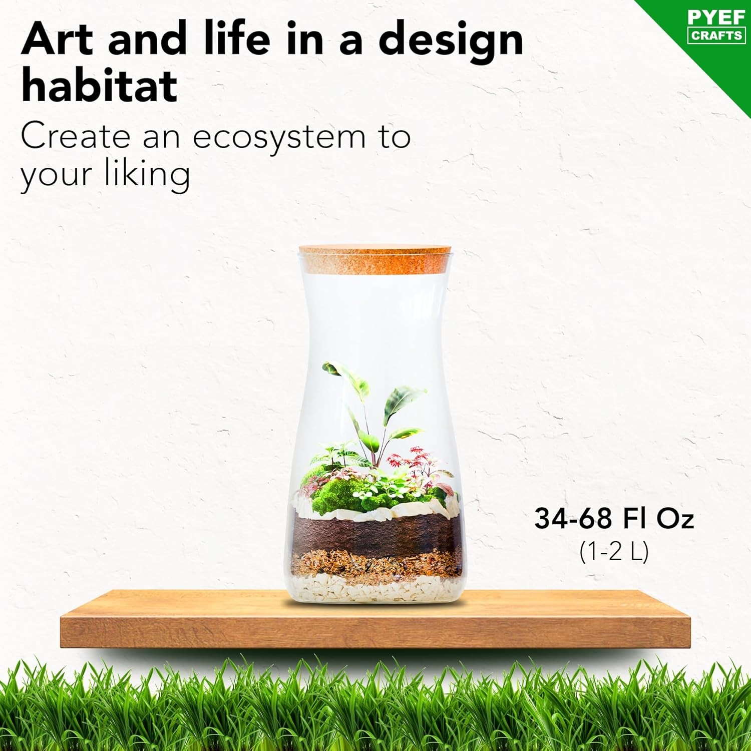 Terrarium Kit, Succulents & Indoor Plants Set DIY | Starter Pack for Any Plant –