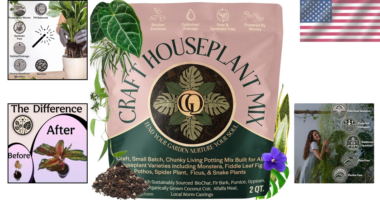 Chunky Bioactive Potting Soil 2QT for Happy Indoor Plants – Reduced Gnats Risk