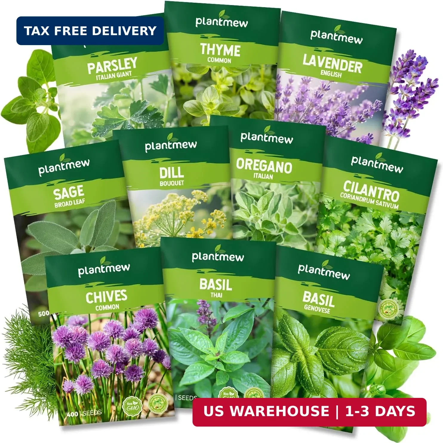 10 Herb Seeds Variety Pack – 7,000+ Heirloom Seeds – Basil, Cilantro, Lavender,