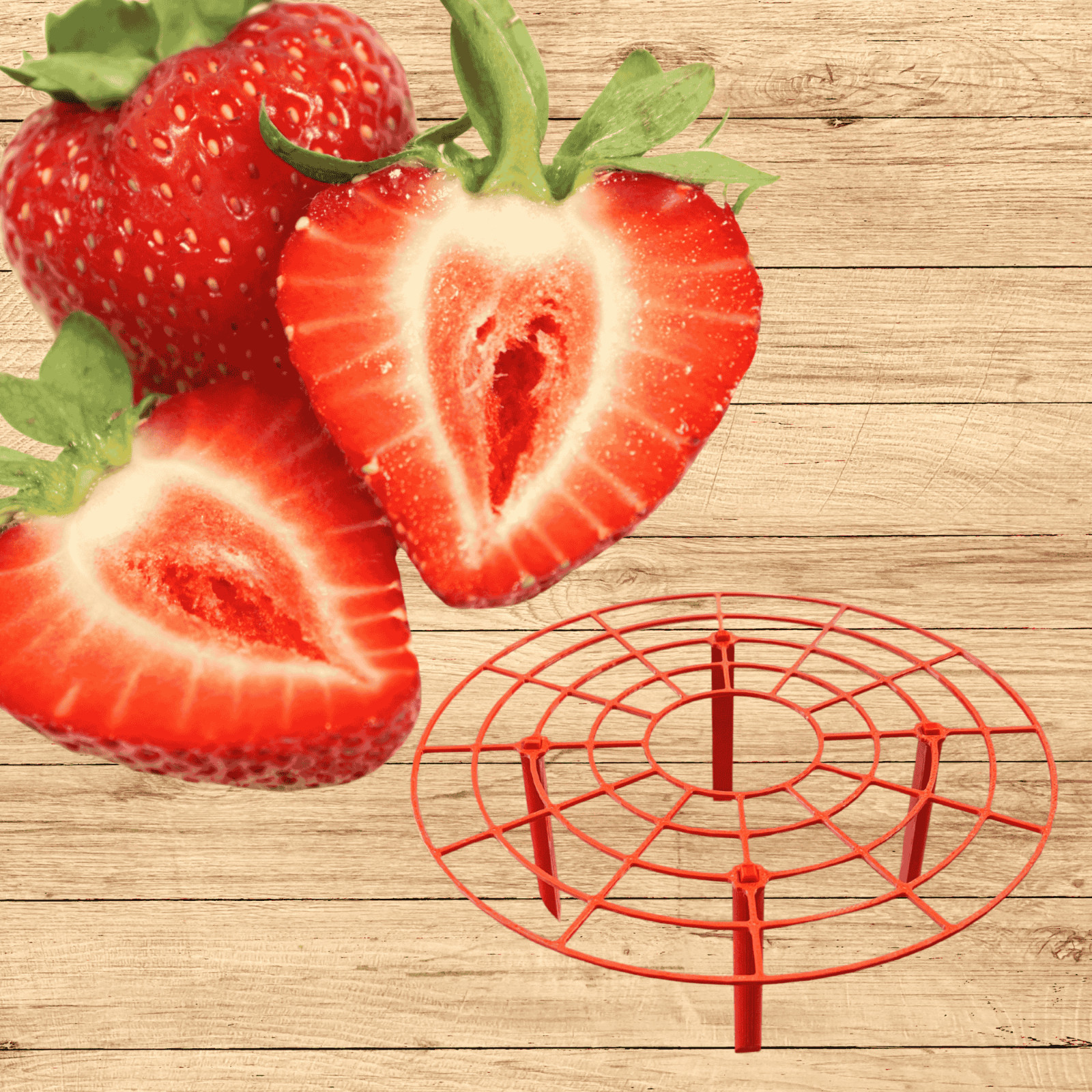 June-Bearing Strawberry Roots + Red Supports | From Hand Picked Nursery
