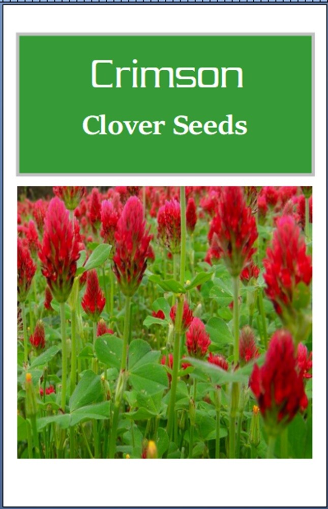 Crimson Clover Cover Crop Seeds | NON-GMO | Heirloom | Fresh Garden Seeds