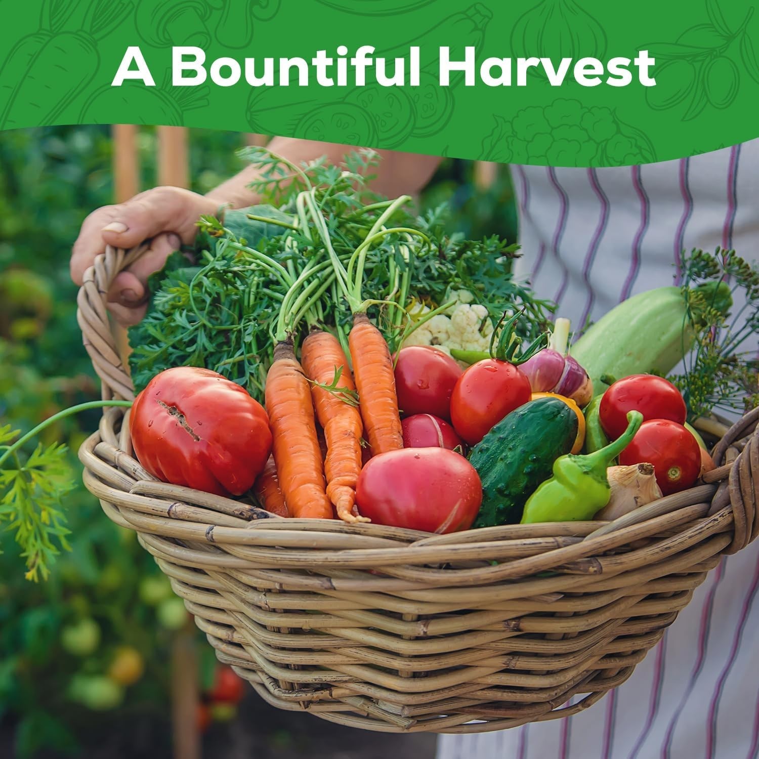【Seed Vault】 Heirloom Vegetable Seeds Planting Kit – 25,000+ Non-Gmo Seeds for