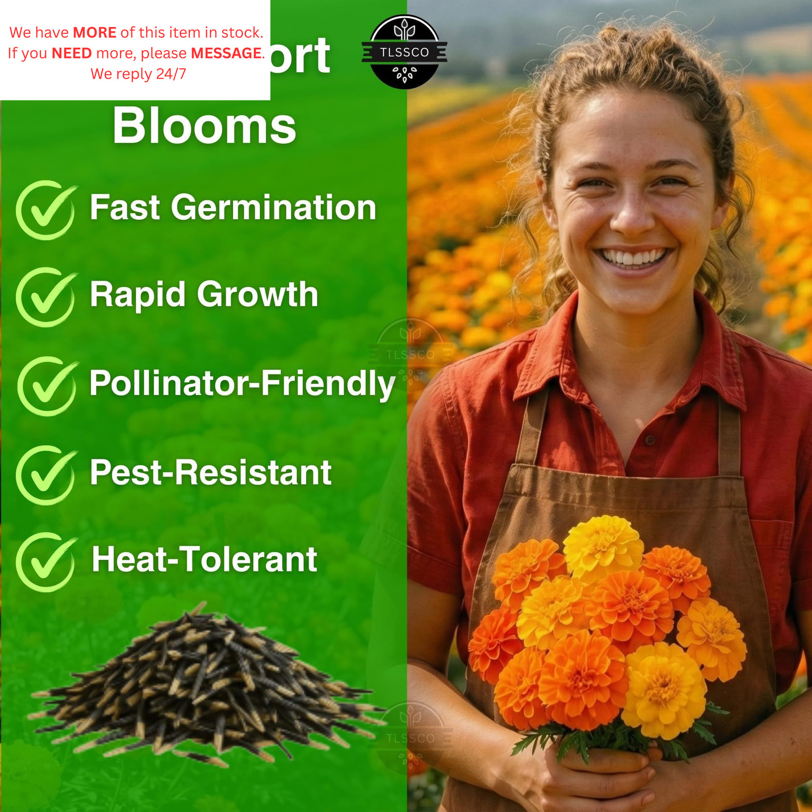 1450+ French Petite Marigold Seeds, Pack for 2026 USA Premium Multi