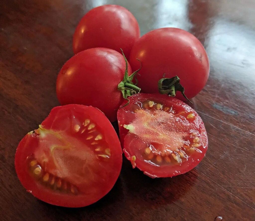 Arkansas Traveler Tomato Seeds, NON-GMO, Heirloom, Heat Tolerant, FREE SHIP