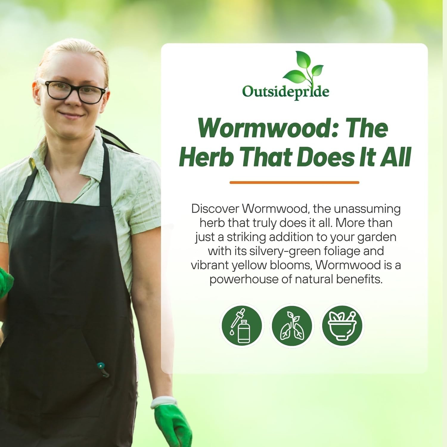Low-Maintenance Wormwood Seeds – 5000 Pcs for Wildlife-Friendly Gardens