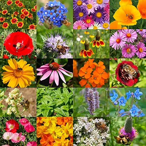 , Bulk 12,500 Seeds Honey Bee Wildflower Medium Pack (12,500 Seeds)