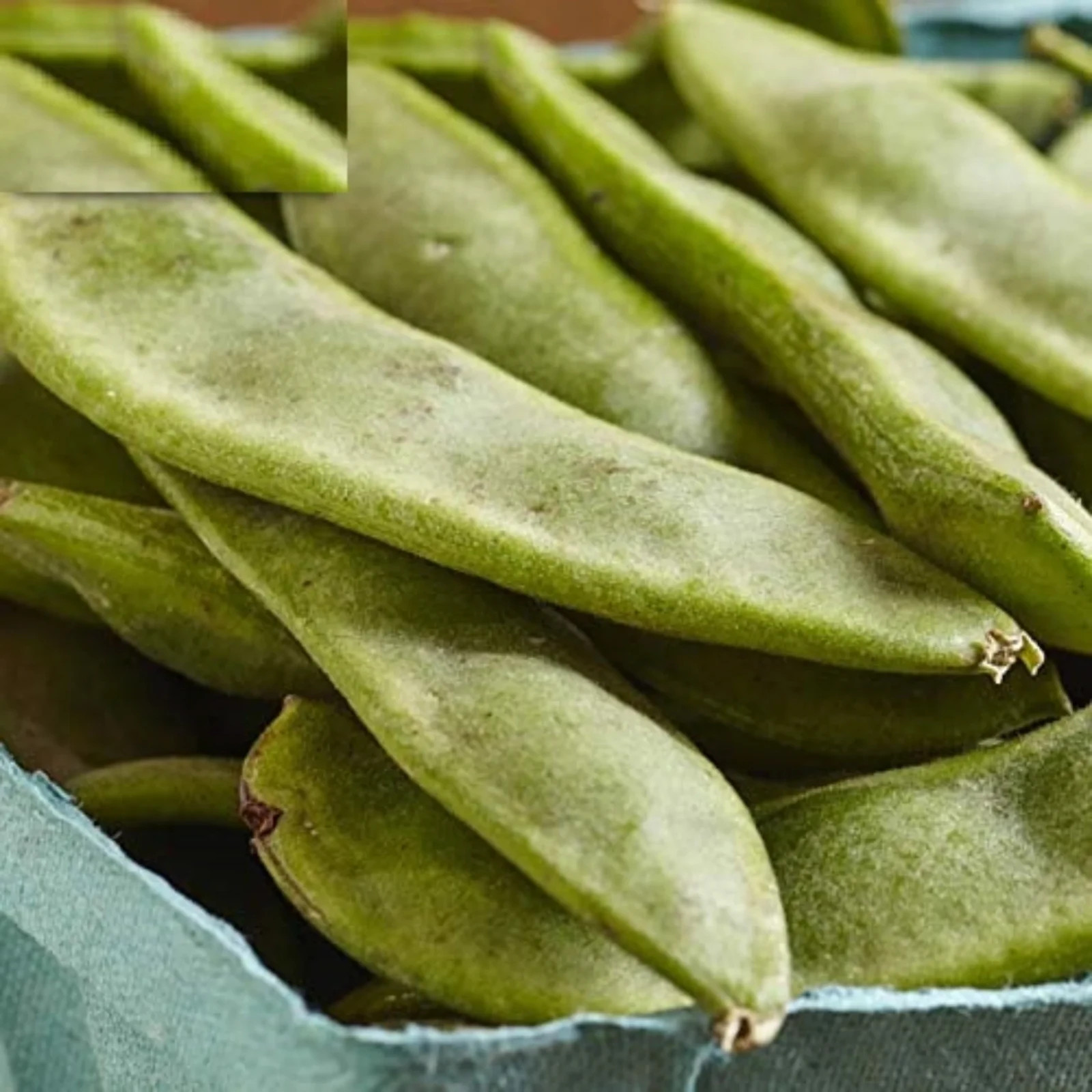 King of the Garden Lima Pole Bean Seeds, Butter Bean, NON-GMO, FREE SHIPPING