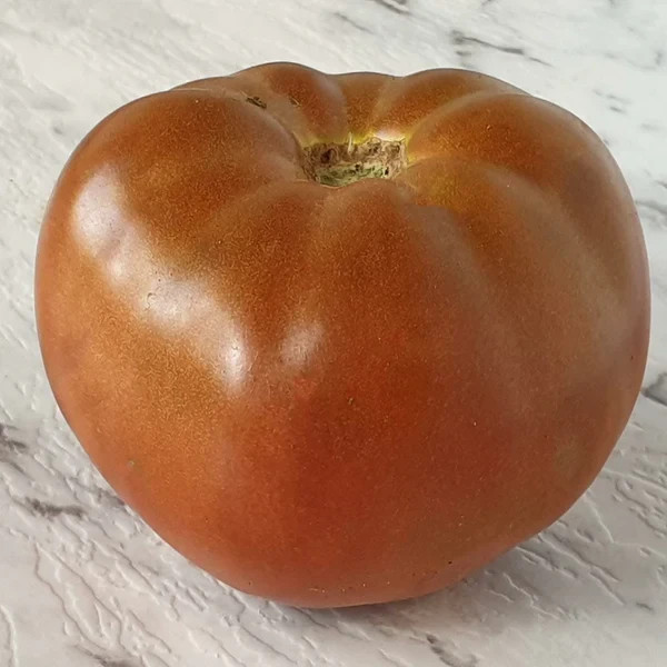 10 SEEDS Maralinga DWARF Variety Tomato ORGANIC DTP