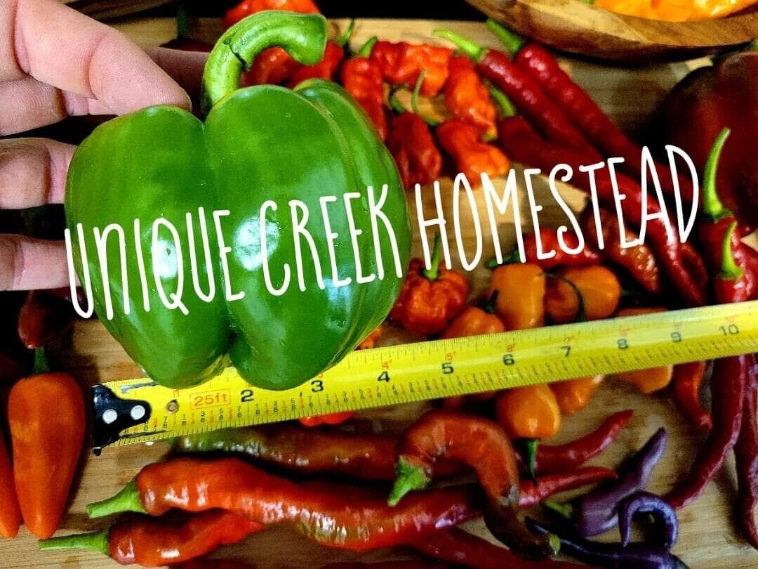 GIANT EMERALD Green Sweet Bell Pepper Seeds Unique Creek Homestead Certified