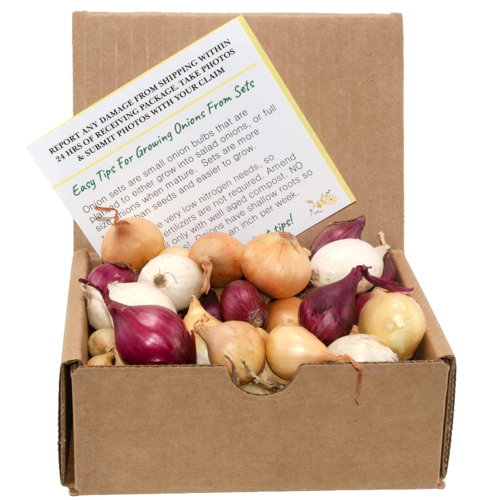 Mixed Onion Assortment 50 Plus Count Sets – Red, white, yellow, red