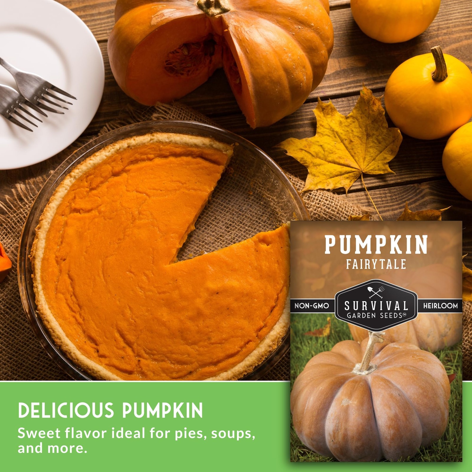 Fairytale Pumpkin Seeds for Planting | Musquée de Provence Heirloom Orange
