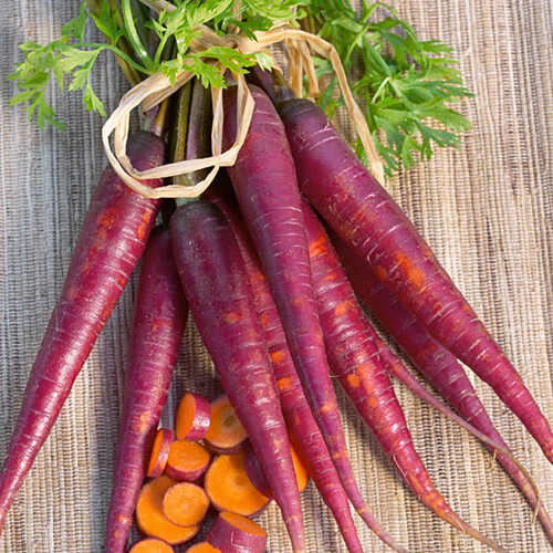 Cosmic Purple Carrot Seeds | Heirloom / Non-GMO | Free Shipping | 1085