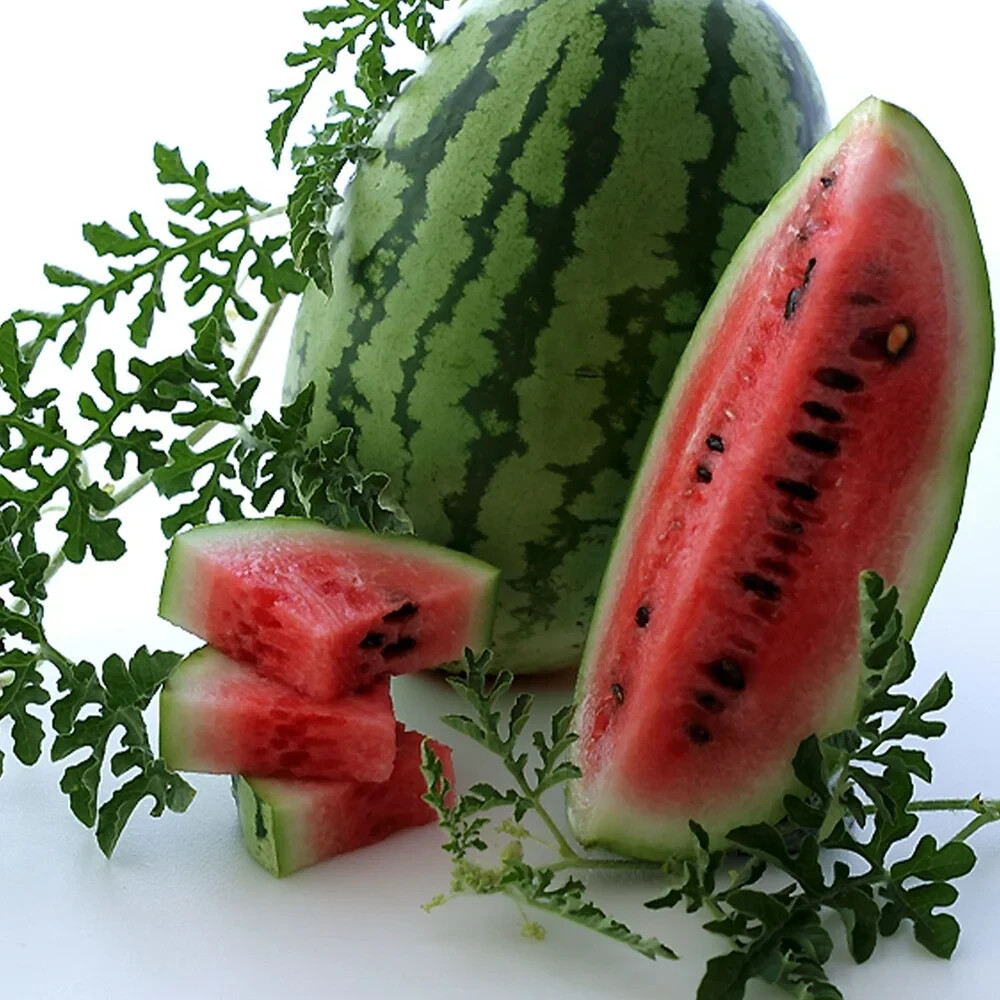 JUBILEE WATERMELON SEEDS 25-35 lbs – VERY SWEET 20 SEEDS FREE SHIPPING