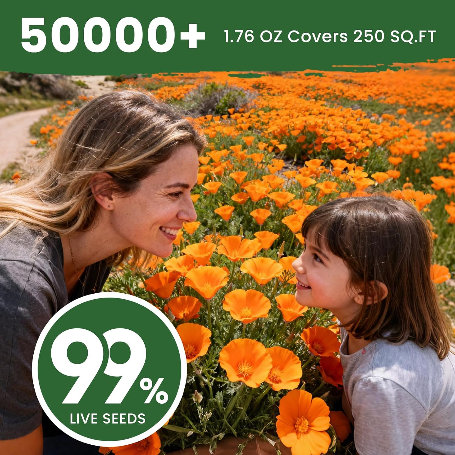 Orange California Poppy Seeds for Planting – Bulk 1.76 Ounce Packet – Over 50,00