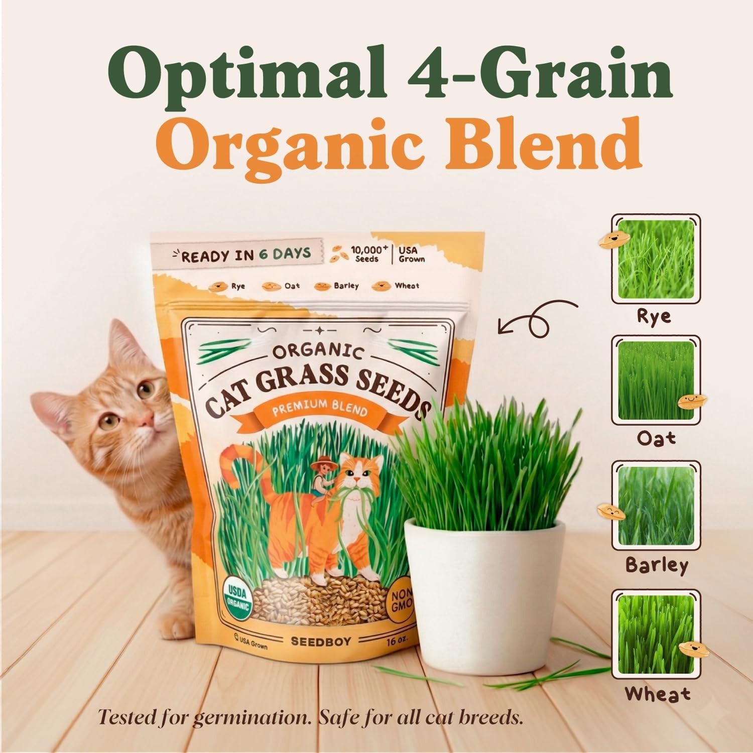Organic Cat Grass Seeds – Non-GMO Wheat, Oat, Rye & Barley for Indoor Cats (16oz