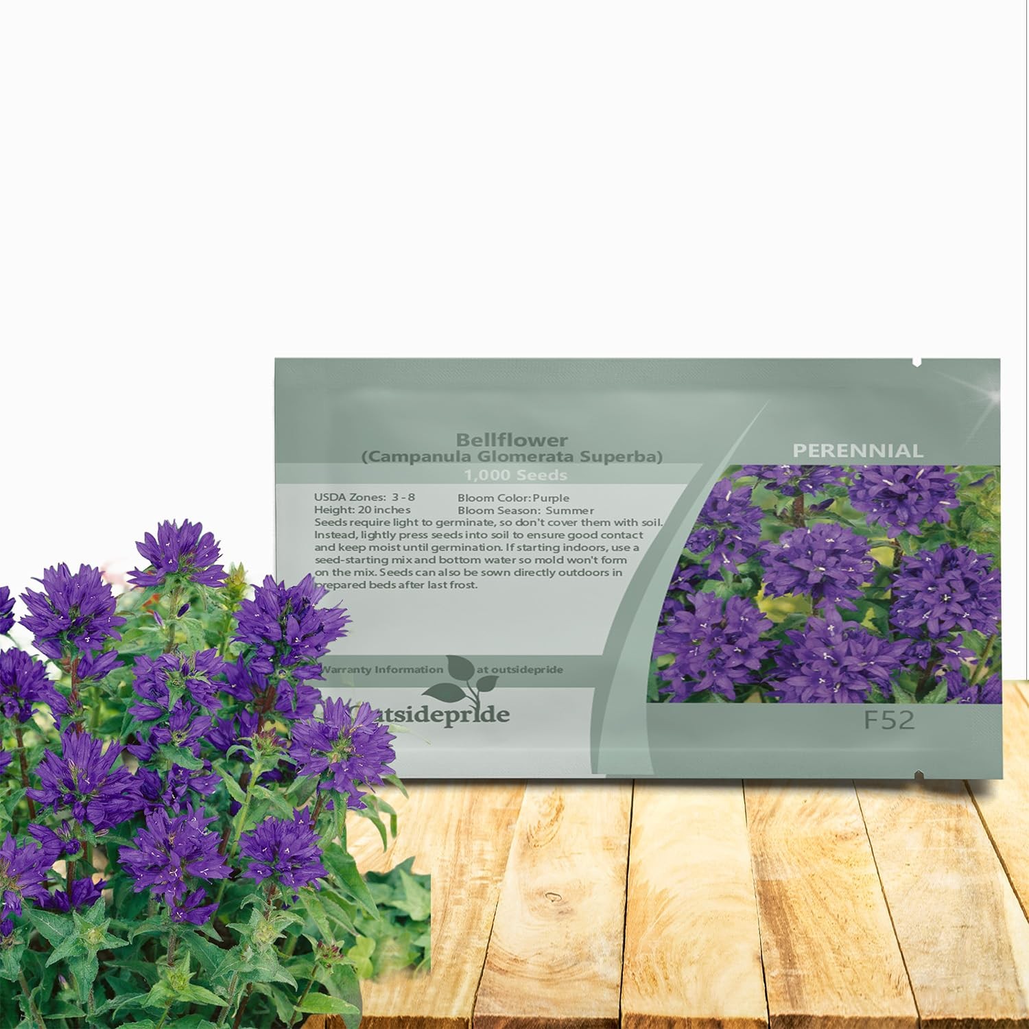 Superba Bellflower Seeds for Planting – 1000 Pcs Perennial Mat-Forming Flower…