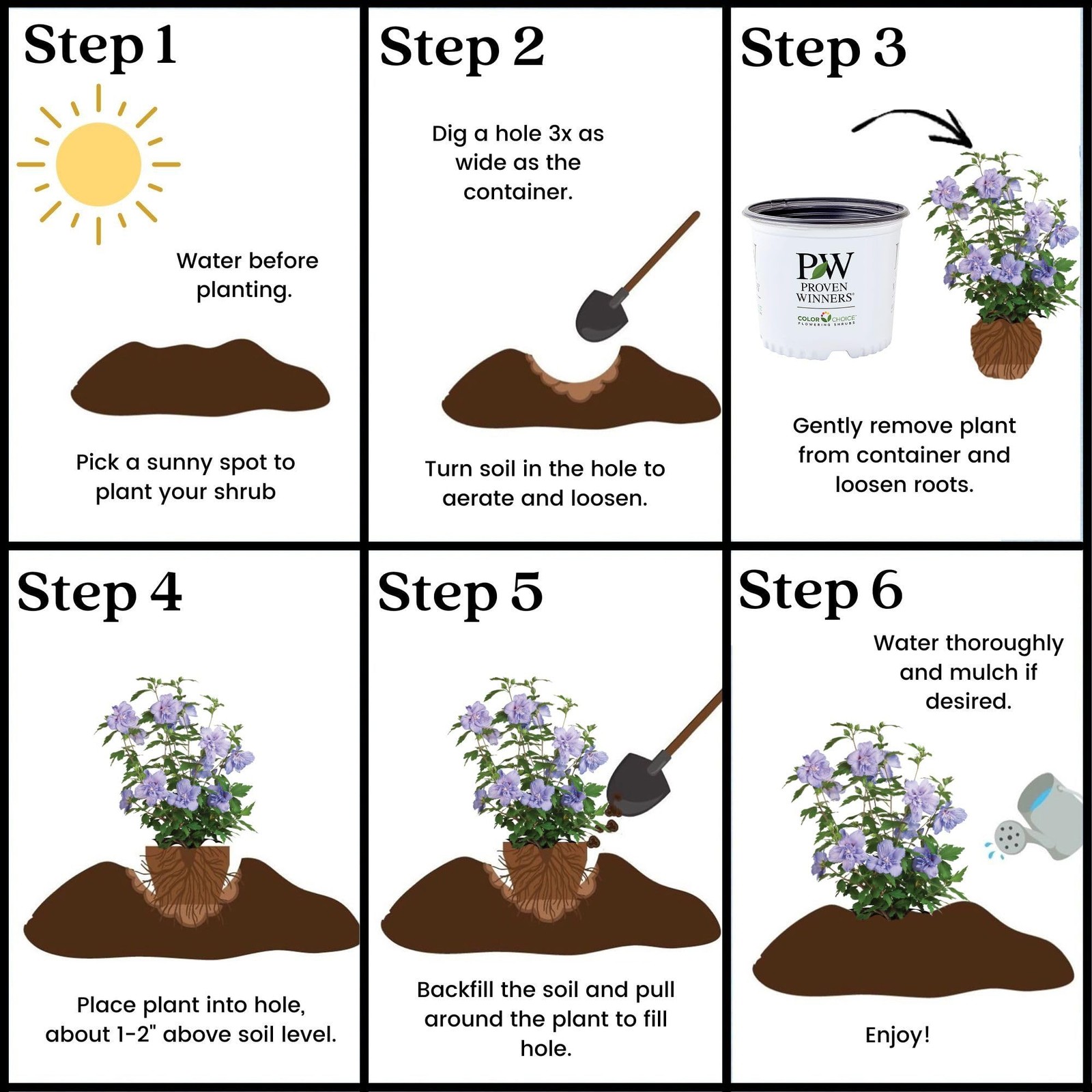 Proven Winners 2 Gal. Blue Chiffon Rose of Sharon (Hibiscus) Shrub