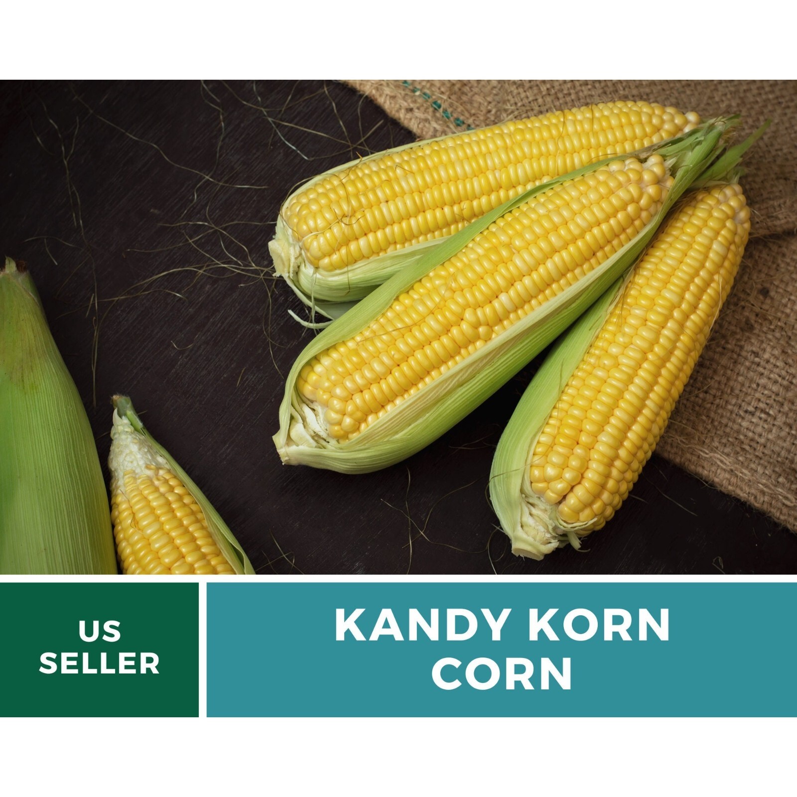 Corn, Kandy Korn – 60 Seeds – Sweet Corn – Hybrid Vegetable – Non-GMO (Zea mays)