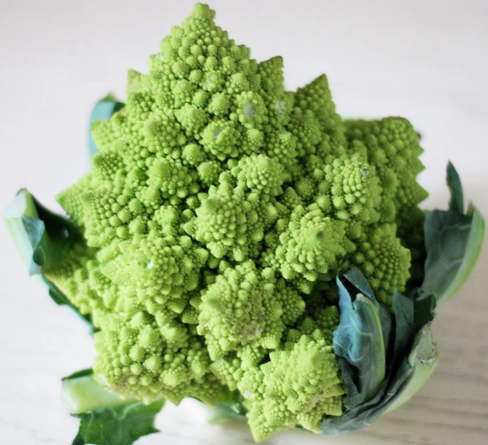100+ Romanesco Broccoli Seeds – NON GMO — HEIRLOOM – ORGANIC — FRESH