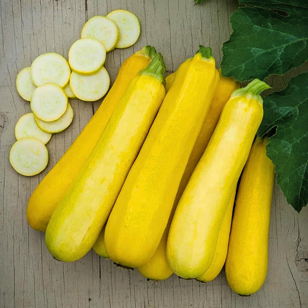 Fresh Golden Zucchini Seeds | Heirloom Non-GMO | Vegetable seeds