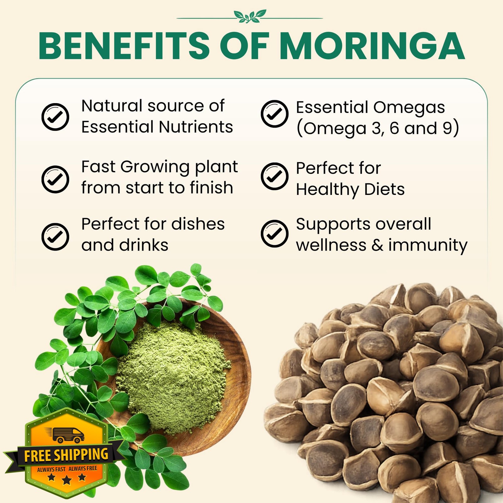 Garden Haven 2 oz moringa seeds 3 pack