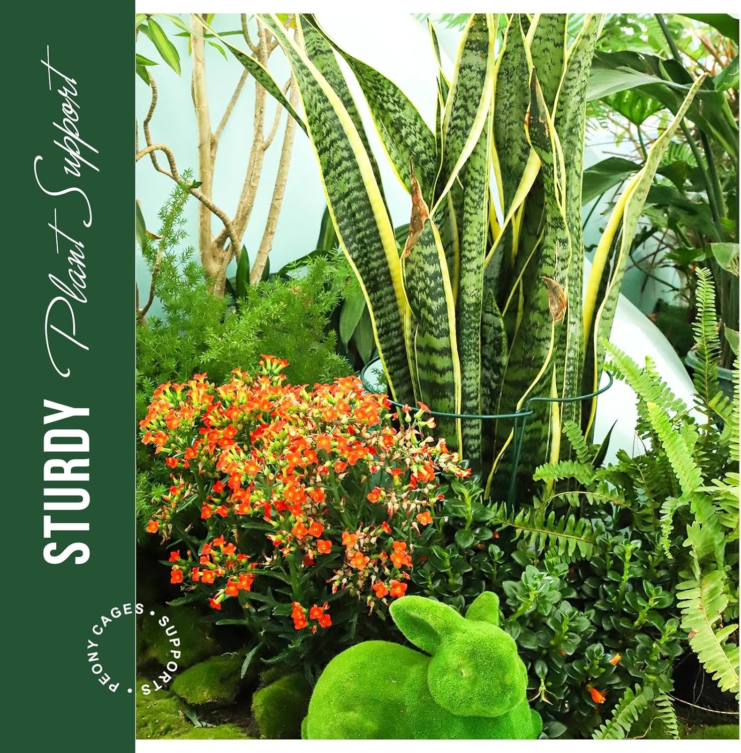 12PCS Plant Supports, Peony Cages, Sturdy Plant Stakes