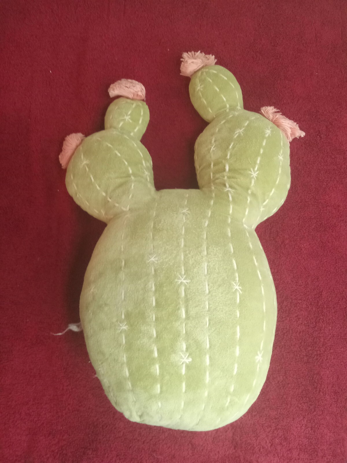 CACTUS CACTUS 🌵 PLANT TOY 15 INC