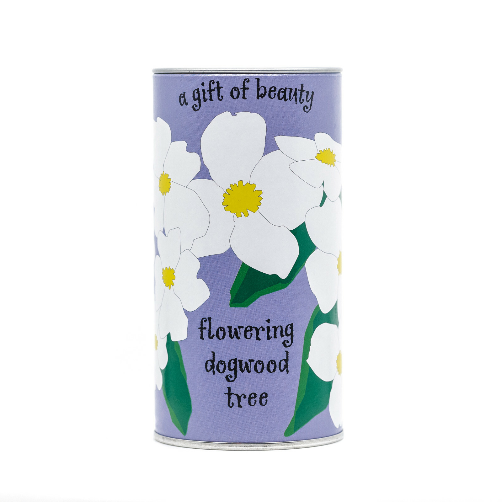 Flowering Dogwood | Tree Seed Grow Kit | The Jonsteen Company