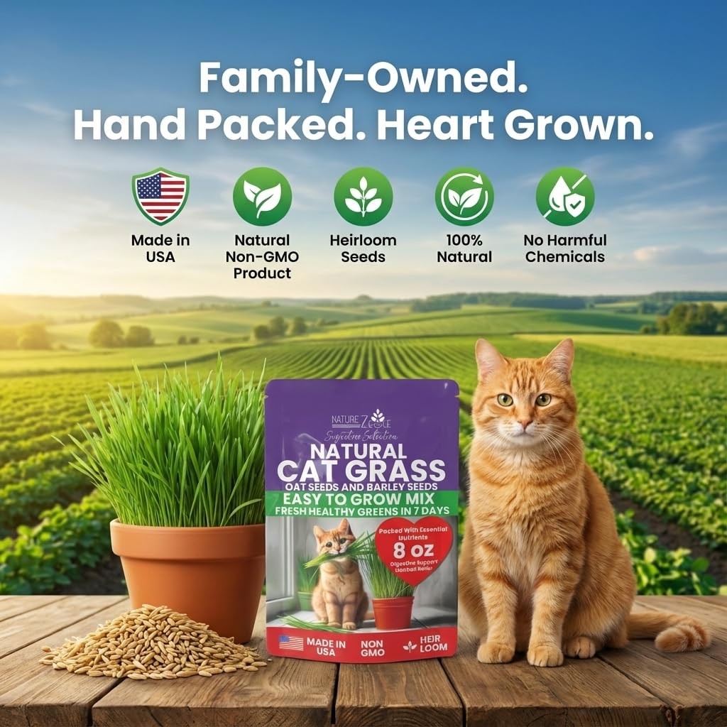 Premium Cat Grass Seeds for Indoor Cats, Non GMO – 1/2 lb Oat & Barley Grass …