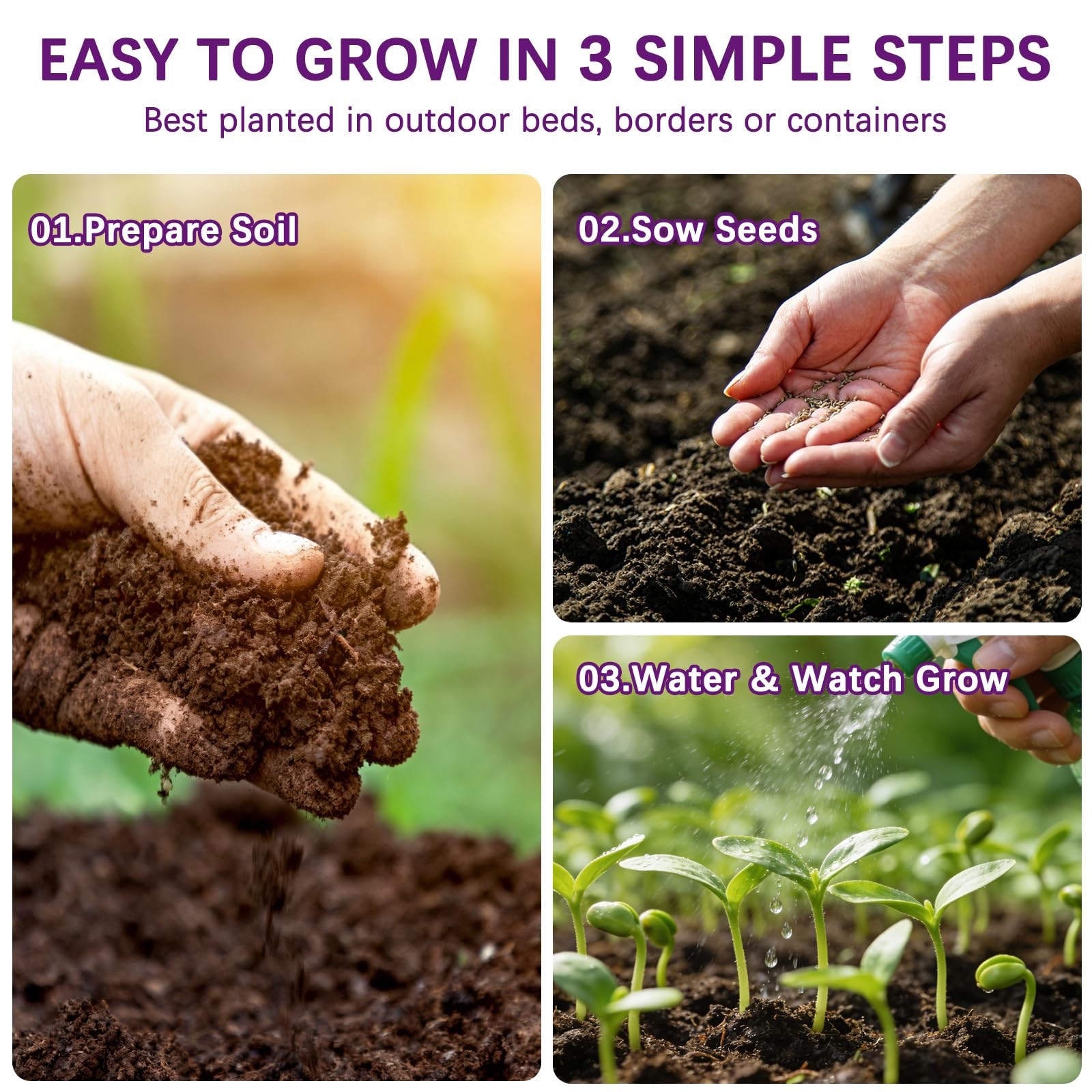 Wildflower Seeds Mix 1/2 lb, 19830+ Seeds Perennial& Annual 36 Varieties Flow…